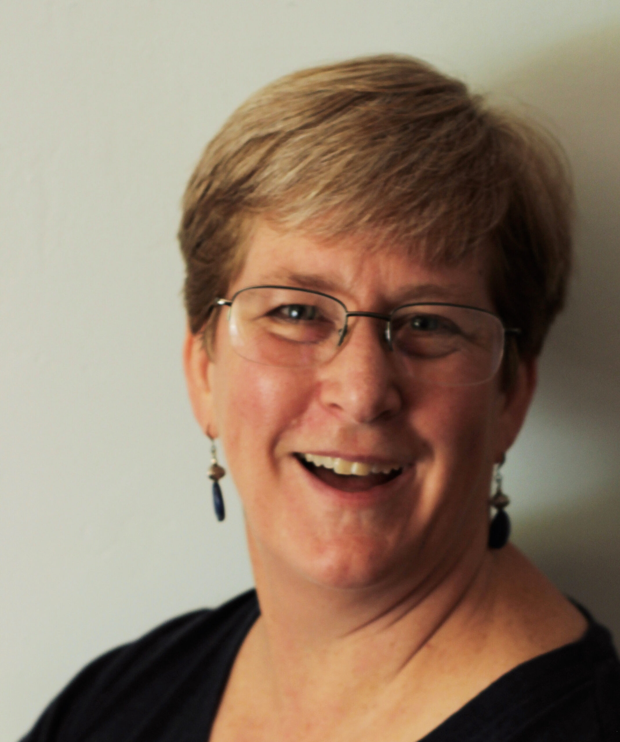 General Monthly Meeting - Andi Stanfield of True Blue Quilts